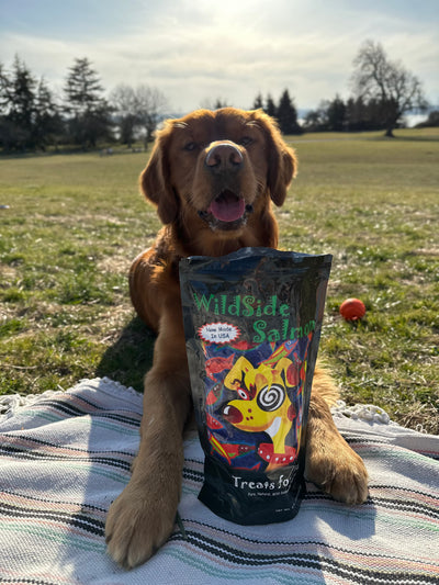 WildSideSalmon: 100% Premium Natural Wild-Caught Salmon Treats For Cats and Dogs | Omega-3 Rich Snacks for Felines and Pups